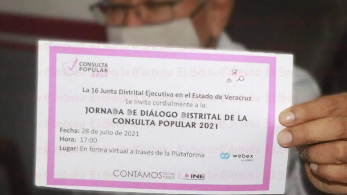 Consulta Ciudadana